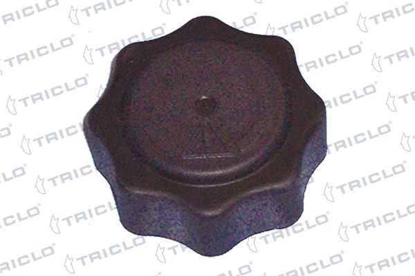 TRICLO Lock till expansionskärl 313339 313339 TRICLO lock till expansionskärl NISSAN MURANO