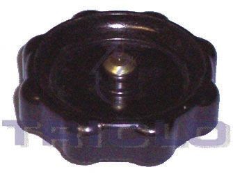 TRICLO Deksel, oljepåfyllingsstuss 315437 Oljepåfyllingslokk TRICLO Hyundai i10 315437