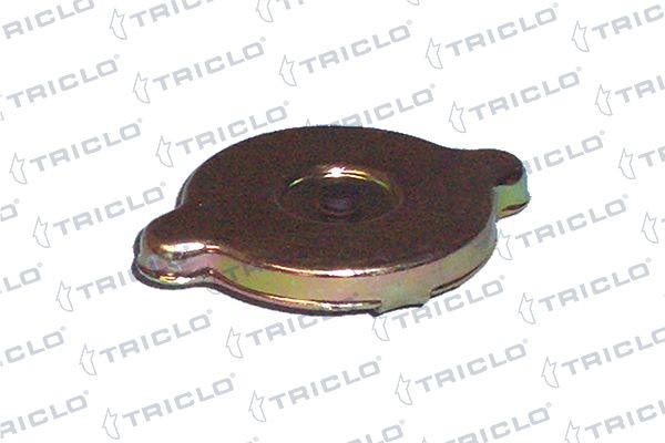 TRICLO Tappo, radiatore 318071 318071 Tappo radiatore HYUNDAI ix55 TRICLO costo