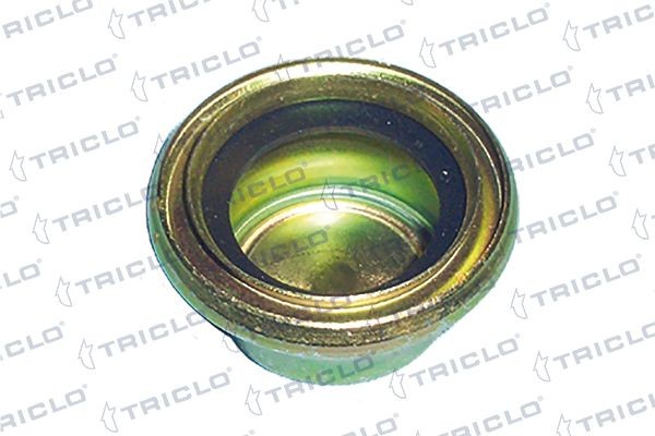 TRICLO Τάπα, στόμιο συμπλήρωσης λαδιού 318172 Ταπα λαδιου TRICLO Volkswagen T-CROSS 318172