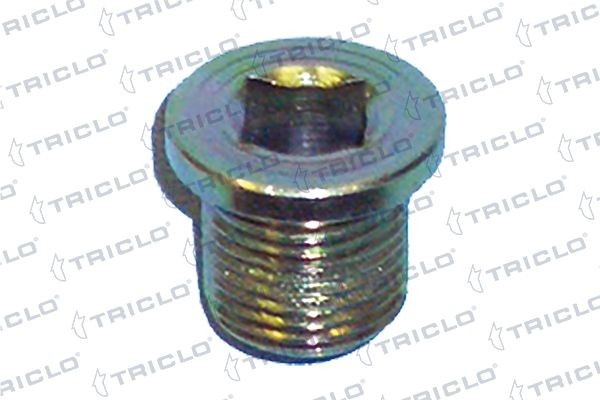 TRICLO Vite di chiusura, vaschetta dell'olio 325117 325117 costo Tappo coppa olio MAZDA 626 TRICLO