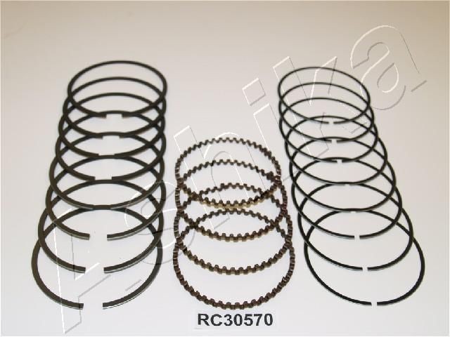 ASHIKA Zuigerveer 34-30570 Zuigerveren ASHIKA 626 34-30570 goedkoop