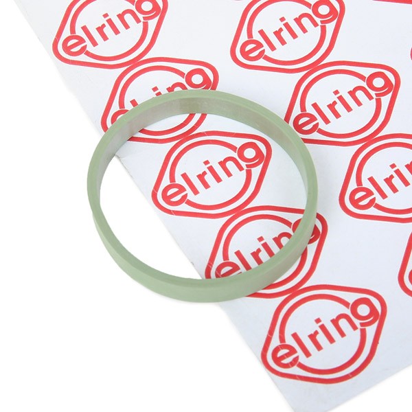 ELRING Inlet manifold gasket 341.080 ELRING 341.080 Renault Master III Minibus gasket set intake manifold replacement