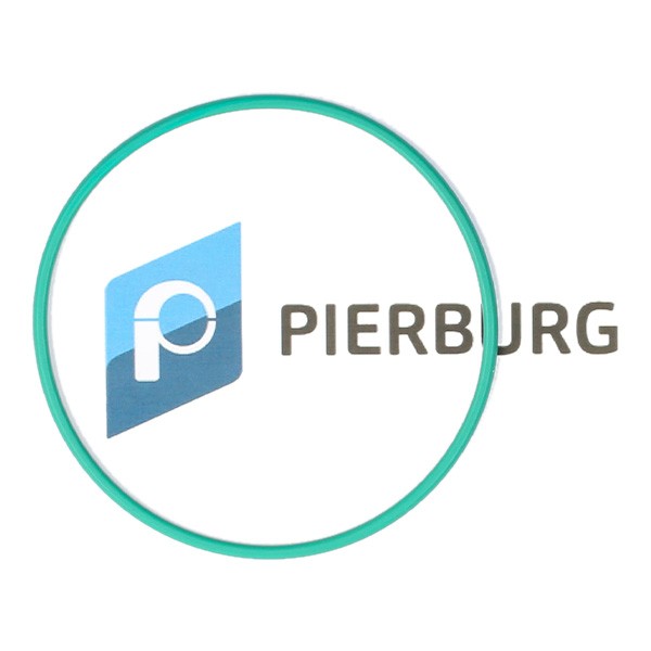 PIERBURG Guarnizione, Sensore livello carburante 3.32038.01.0 PIERBURG 3.32038.01.0 Guarnizione, sensore livello carburante Expert II Camion pianale/Telaio prezzo