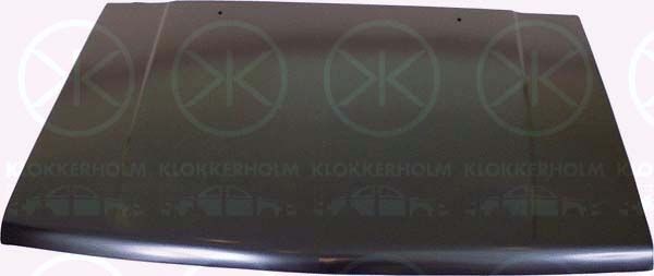 KLOKKERHOLM Motorhuv 3781280 3781280 KLOKKERHOLM motorhuv delar MITSUBISHI COLT