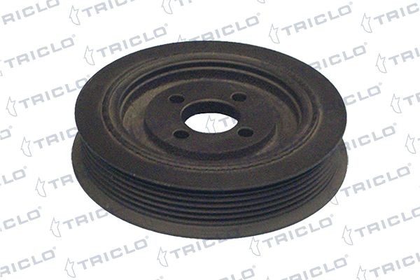 TRICLO Krukaspoelie 421205 Peugeot BOXER Krukaspoelie TRICLO 421205