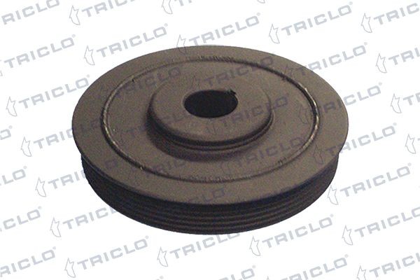 TRICLO Krukaspoelie 421210 Riemschijf voor krukas TRICLO BOXER 421210 goedkoop