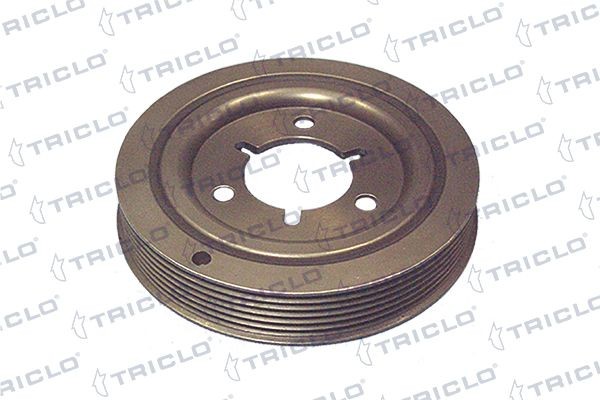 TRICLO Poulie damper (vilebrequin) 421216 Poulie de vilebrequin TRICLO BOXER 421216 pas cher