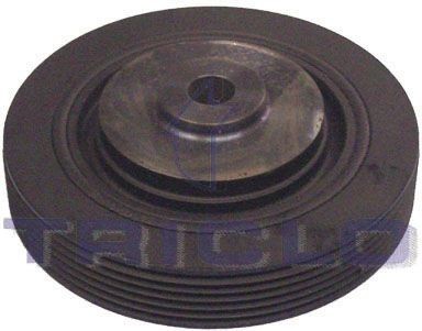 TRICLO Krukaspoelie 425188 425188 Krukaspoelie RENAULT GRAND SCÉNIC TRICLO