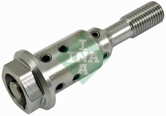 INA Κεντρική βαλβίδα, ρύθμιση εκ / ρου άξονα 427 0038 10 Βαλβίδα ελέγχου, ρύθμιση εκκεντροφόρου άξονα INA Abarth GRANDE PUNTO 427 0038 10