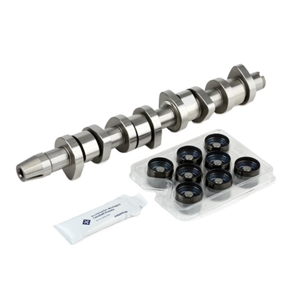 INA Kit albero a camme 428 0042 30 INA 428 0042 30 Alberi a camme F350 originale prezzo