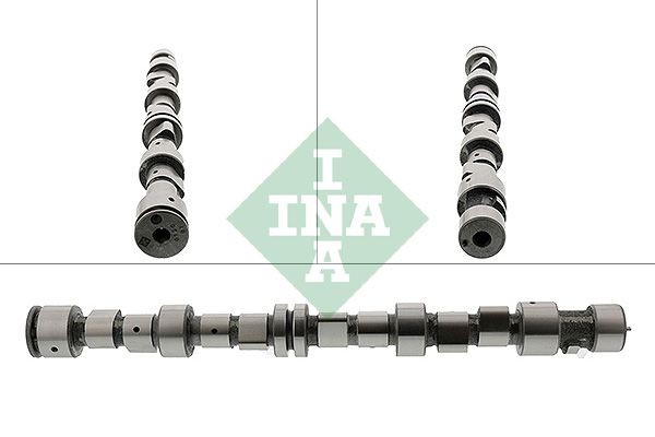 INA Εκκεντροφόρος άξονας 428 0096 10 Εκκεντροφόρος άξονας INA OMEGA 428 0096 10 φθηνά