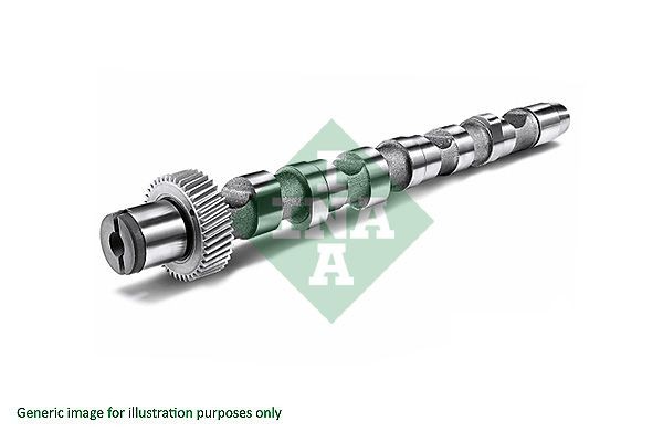 INA Camshaft 428 0124 10 INA 428 0124 10 Renault Megane 1 camshaft replacement