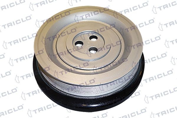 TRICLO Poulie damper (vilebrequin) 428874 428874 Poulie de vilebrequin TRICLO PEUGEOT BOXER