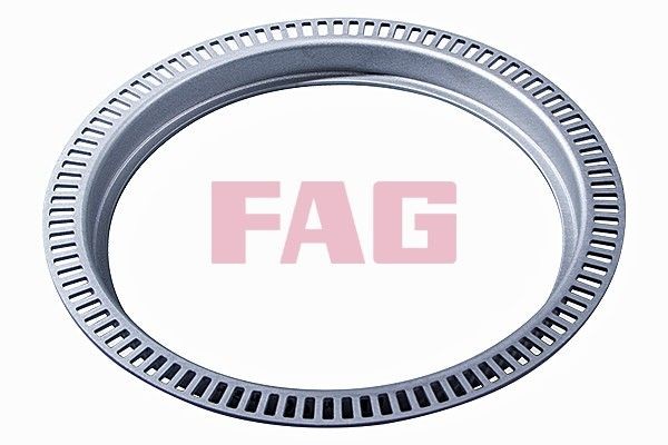 FAG Andur, ABS 434 0579 10 ABS rõngas Volkswagen FAG 434 0579 10