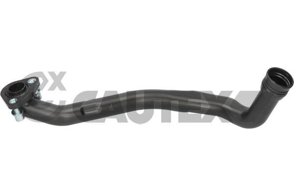 CAUTEX Slang, cilinderkopontluchting 461069 Peugeot 308 Carterventilatie CAUTEX 461069