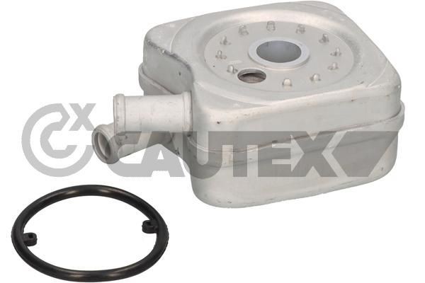 CAUTEX Chladič motorového oleja 462419 Chladič motorového oleja CAUTEX PASSAT 462419 lacné