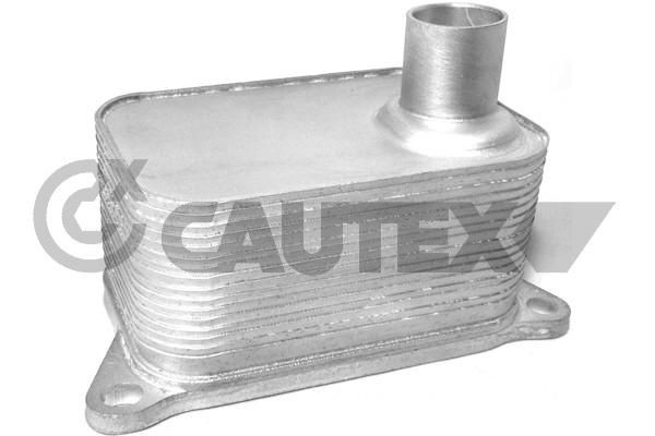CAUTEX Chladič motorového oleja 462518 Olejový chladič CAUTEX PASSAT 462518 lacné