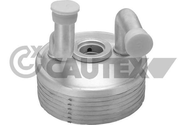 CAUTEX Chladič motorového oleja 462522 Chladič motorového oleja CAUTEX PASSAT 462522 lacné