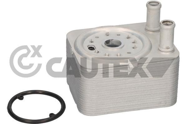 CAUTEX Chladič motorového oleja 462525 462525 Olejový chladič Volkswagen PASSAT CAUTEX