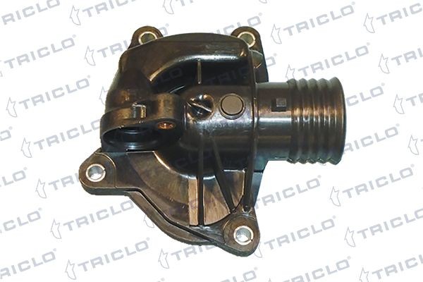 TRICLO Jahutusvedeliku flants 466638 TRICLO 466638 Jahutusvedeliku flants Rover 400 Hatchback RT hind