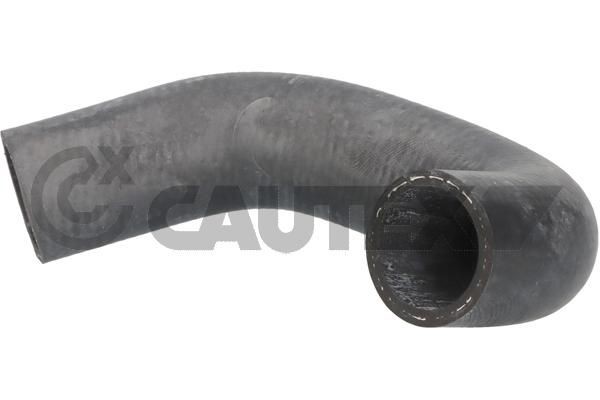 CAUTEX Flessibile radiatore 466695 CAUTEX 466695 Flessibile radiatore Seat TERRA originali