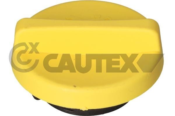CAUTEX Tappo olio motore 481066 481066 costo Tappo olio motore CAUTEX FORD TRANSIT