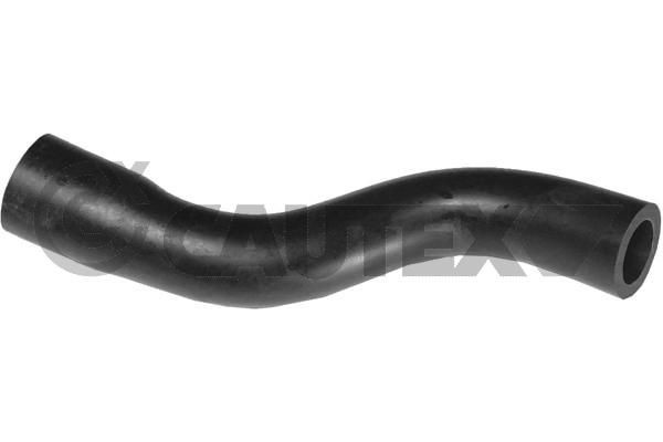 CAUTEX Hadica odvetrania veka hlavy valcov 486116 Hadica odvetrania veka hlavy valcov CAUTEX Ford FIESTA 486116