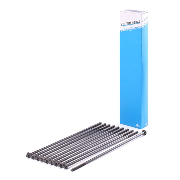 REINZ Kit bulloni testata 14-32100-01 REINZ 14-32100-01 Kit bulloni testata Range Rover Sport L320 prezzo