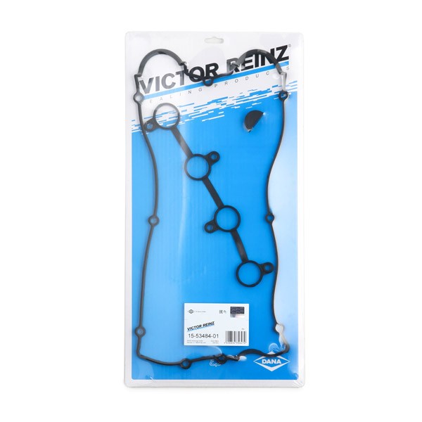 REINZ Kit guarnizioni, Copritestata 15-53484-01 REINZ 15-53484-01 costo Guarnizione punterie HYUNDAI TRAJET