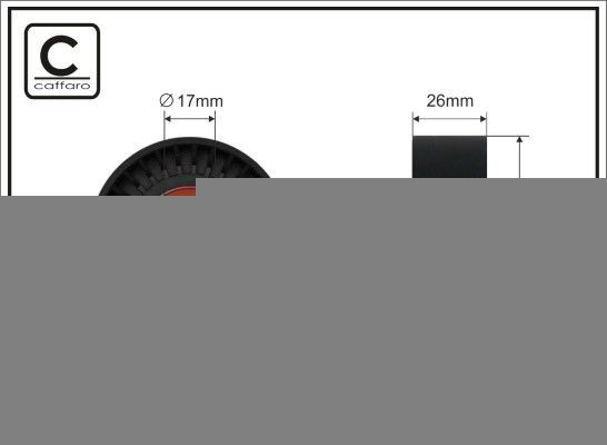 Spannrolle, Keilrippenriemen CAFFARO 500373 SSANGYONG REXTON 2021 Spannrolle Keilrippenriemen CAFFARO 500373