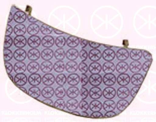 KLOKKERHOLM Verre de rétroviseur, rétroviseur extérieur 50891066 Verre de rétroviseur KLOKKERHOLM QASHQAI 50891066 pas cher