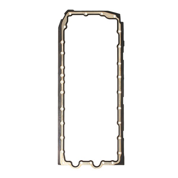 REINZ Carterpakking 71-38669-00 REINZ 71-38669-00 originele Carterpakking BMW E83 kosten