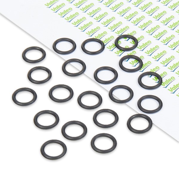 VALEO Tetning, rørledning kjølevæske 509132 Radiatorslange VALEO Citroën BERLINGO 509132