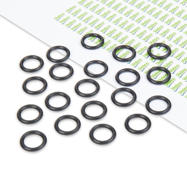 VALEO Tihend, jahutusvedelikutorustik 509301 509301 Jahutusvoolik MERCEDES-BENZ B-klass VALEO