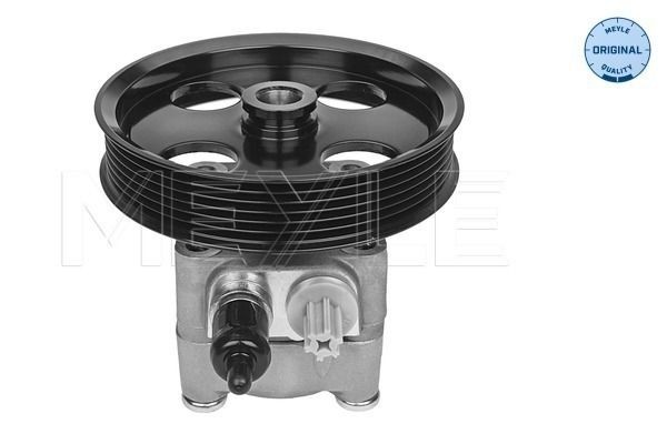 MEYLE Servopumpe 514 631 0013 MEYLE 514 631 0013 Volvo 240 Stationcar Servopumpe til en rimelig pris
