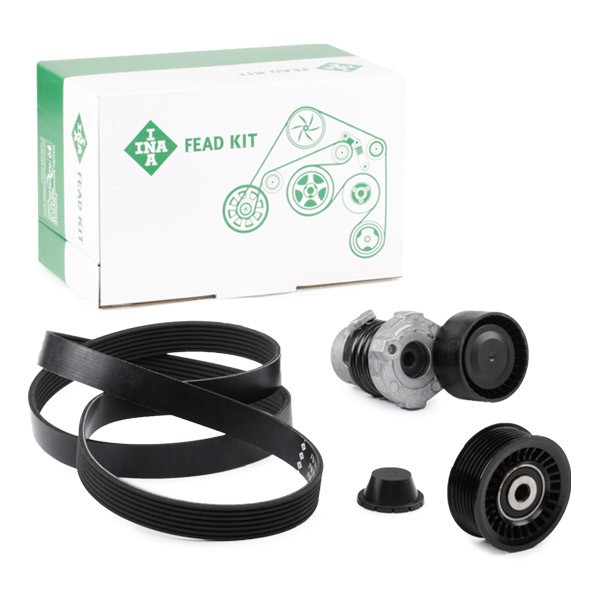 INA Σετ ιμάντων poly-V 529 0187 10 INA 529 0187 10 Κιτ ιμάντα κίνησης Renault 19 II Chamade φθηνά