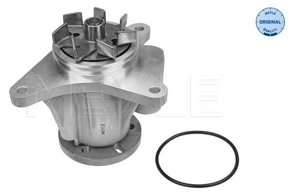 Pompa acqua MEYLE 53-13 220 0007 MEYLE 53-13 220 0007 costo Pompa acqua Jaguar XJ 2008
