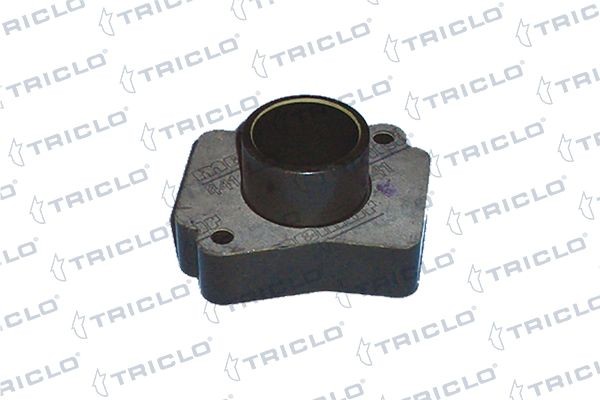 Flasque de carburateur TRICLO 534026 534026 Flasque carburateur TRICLO