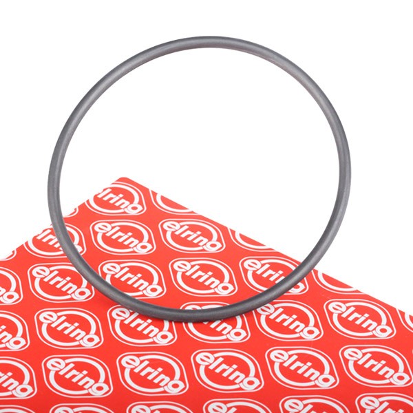 ELRING Guarnizione, Pompa acqua 893.189 893.189 Guarnizione pompa acqua ELRING Volkswagen GOLF costo