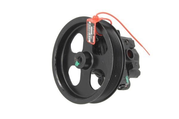 LAUBER Pompa idraulica, sterzo 55.6176 55.6176 costo Pompa idroguida TOYOTA YARIS LAUBER