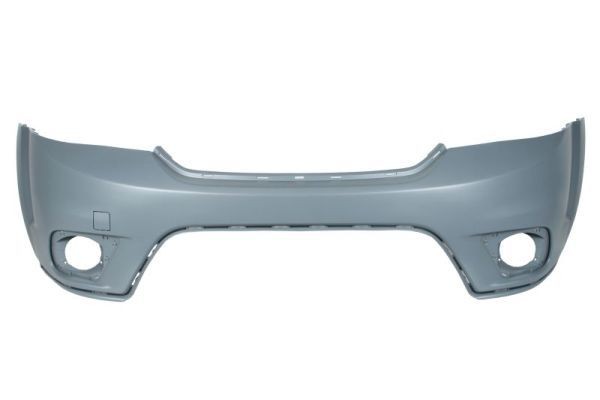 Støtfanger BLIC 5510-00-2050900P BLIC 5510-00-2050900P Frontfanger og bakfanger DODGE GRAND CARAVAN 2018
