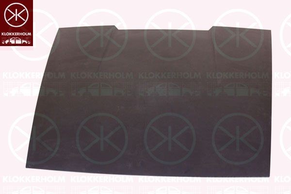 Kapott KLOKKERHOLM 5700281 KLOKKERHOLM 5700281: Mootorikapott Porsche 911 2008