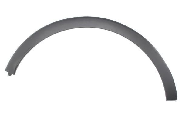 BLIC Pynte- / beskyttelsesliste, skærm 5703-04-6009598P BLIC 5703-04-6009598P Fender flares Renault Trafic Bus T5 billig