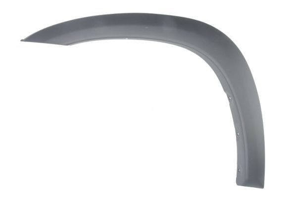 BLIC Pynte- / beskyttelsesliste, skærm 5703-08-8179373P BLIC 5703-08-8179373P Fender flares Corolla E50 billig
