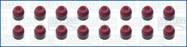 AJUSA Tihendikomplekt, Klapisäär 57069900 AJUSA 57069900 Klapisääretihend HYUNDAI Santa Fe V (MX5) odava hinnaga