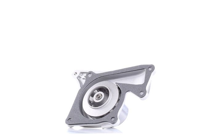 DAYCO Pompe à eau DP200 RENAULT Captur II 2020 DAYCO Pompe à eau DP200