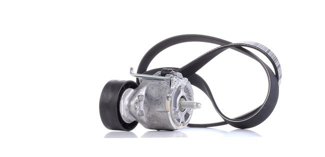 DAYCO Keilrippenriemensatz KPV110 DAYCO Keilrippenriemensatz KPV110 - 33,17 €