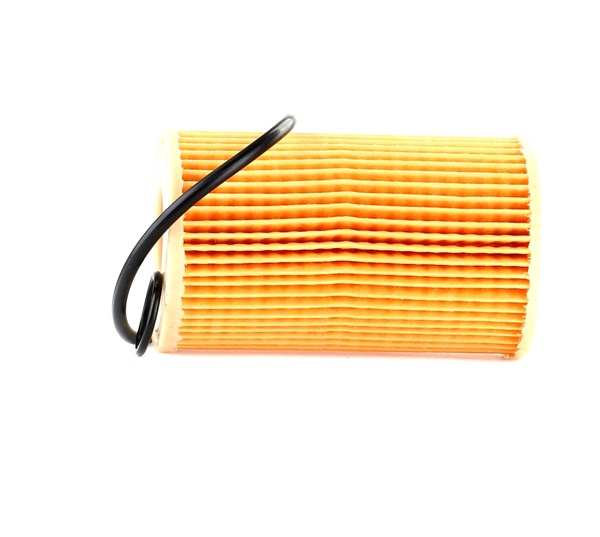 PURFLUX Filtre à huile L331 Renault Kangoo Express 2020 PURFLUX Filtre à huile L331