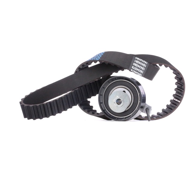 Kit de distribution pour FORD Focus Mk2 3/5 portes (DA_, HCP, DP) 1.6